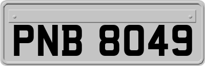 PNB8049