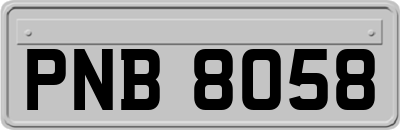 PNB8058