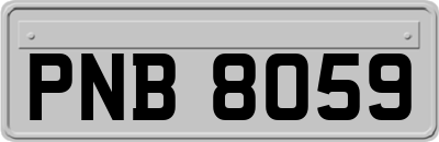 PNB8059