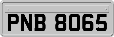 PNB8065