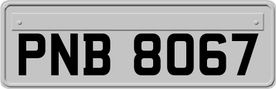 PNB8067