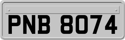 PNB8074