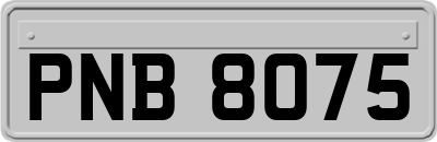 PNB8075
