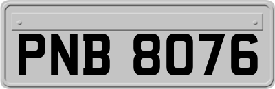 PNB8076