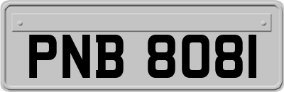 PNB8081