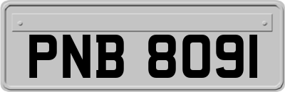 PNB8091