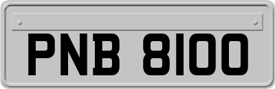 PNB8100