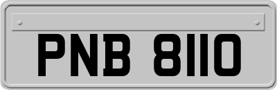 PNB8110