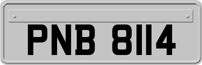 PNB8114
