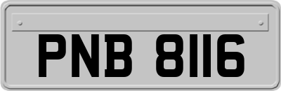 PNB8116