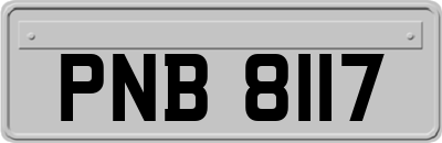 PNB8117