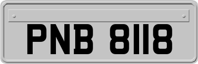PNB8118