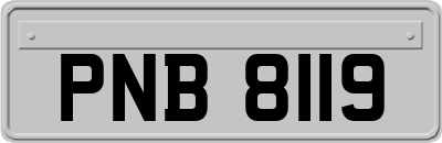 PNB8119