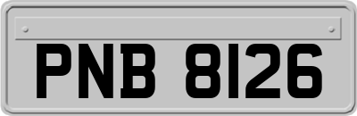 PNB8126