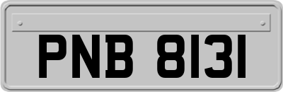 PNB8131