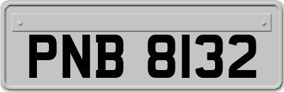 PNB8132