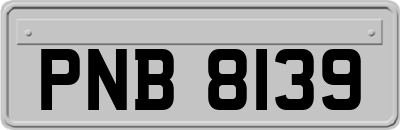 PNB8139