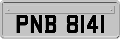 PNB8141