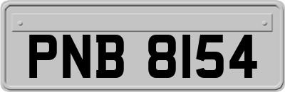 PNB8154