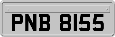 PNB8155