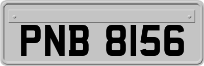 PNB8156