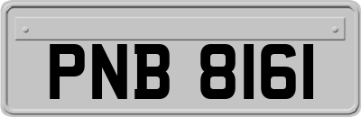 PNB8161