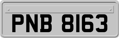 PNB8163