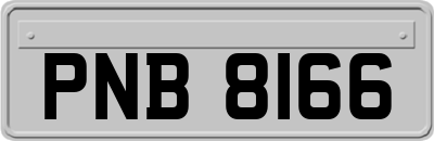 PNB8166