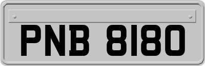 PNB8180