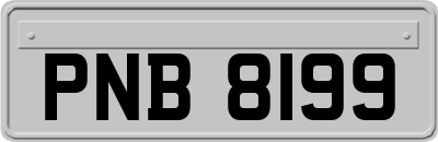 PNB8199