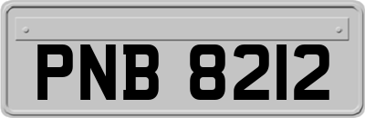 PNB8212