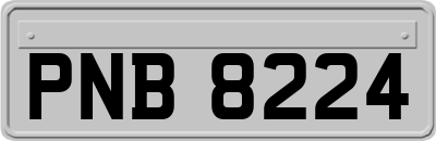 PNB8224