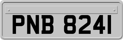 PNB8241