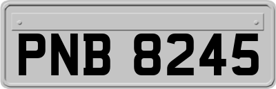 PNB8245
