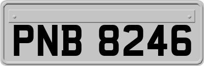 PNB8246
