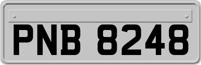 PNB8248