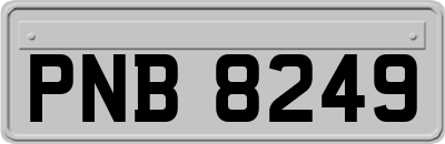 PNB8249