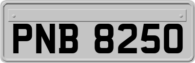 PNB8250