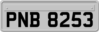 PNB8253