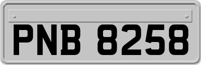 PNB8258