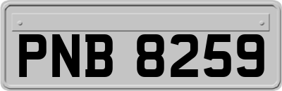 PNB8259