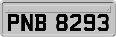 PNB8293