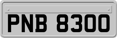 PNB8300