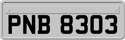 PNB8303