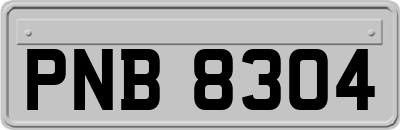 PNB8304