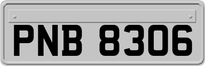 PNB8306