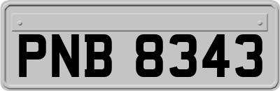 PNB8343