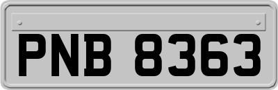 PNB8363