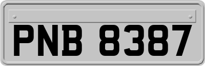 PNB8387