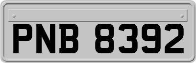 PNB8392